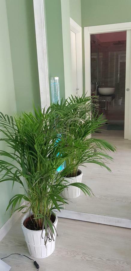 شقة Casa Mara & Casa Tea ماراتييا المظهر الخارجي الصورة